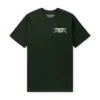 Antihero Tee Basic Eagle Chest Green