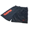 Hopps Shorts BigHopps Bball Navy